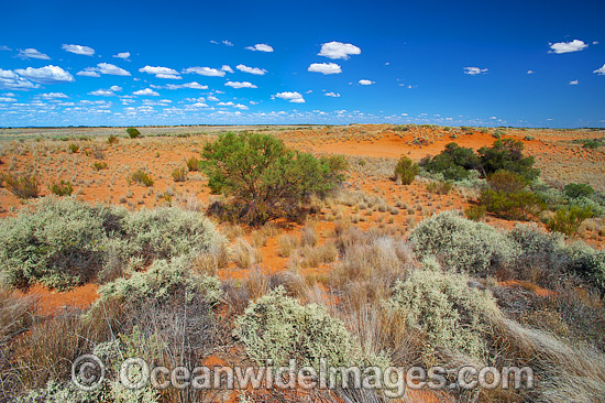Outback Broken Hill photo Outback Broken Hill photo
