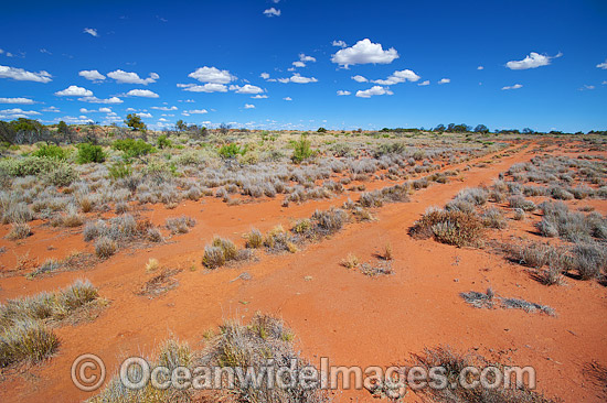 Desert track outback Australia photo Desert track outback Australia photo