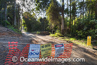 Forest Logging Australia Photo - Gary Bell