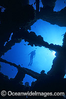 Yongala Shipwreck and Diver Photo - Gary Bell