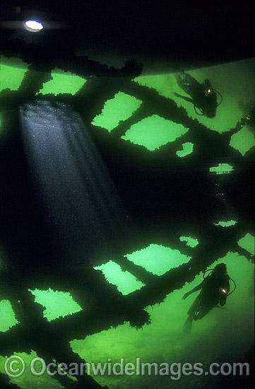Scuba Diver exploring Cerberus shipwreck photo Scuba Diver exploring Cerberus shipwreck photo