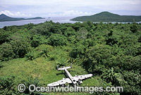 World War 2 B25 Bomber wreck Photo - Gary Bell