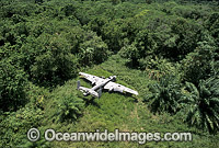 World War 2 B25 Bomber wreck Photo - Gary Bell