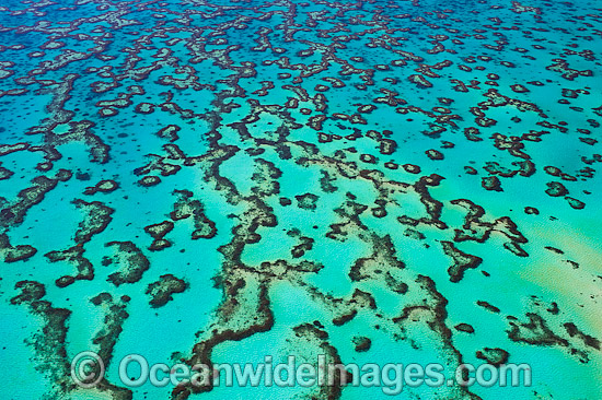 Wistari Reef Lagoon photo Wistari Reef Lagoon photo