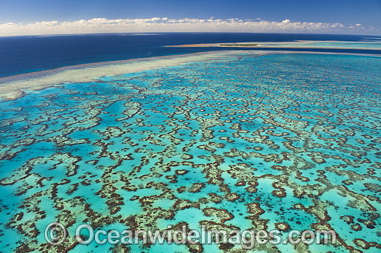 Wistari Reef Lagoon and Heron Island photo