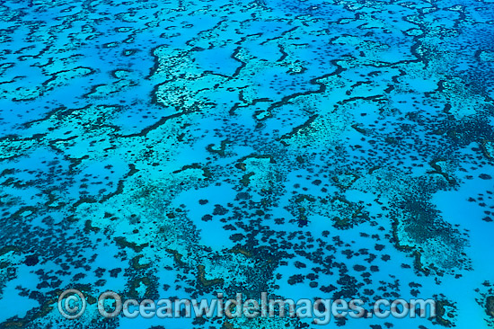 Wistari Reef Lagoon photo Wistari Reef Lagoon photo