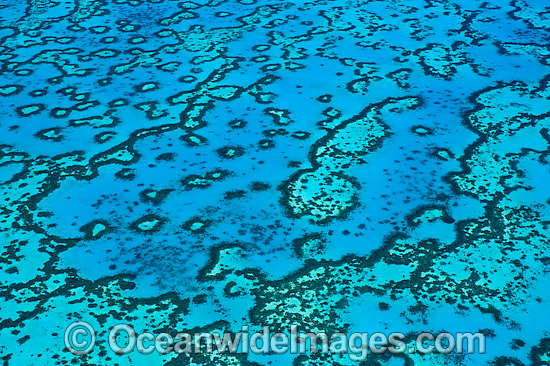 Wistari Reef Lagoon photo Wistari Reef Lagoon photo