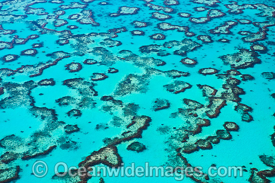 Wistari Reef Lagoon photo