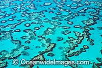 Wistari Reef Lagoon Photo - Gary Bell