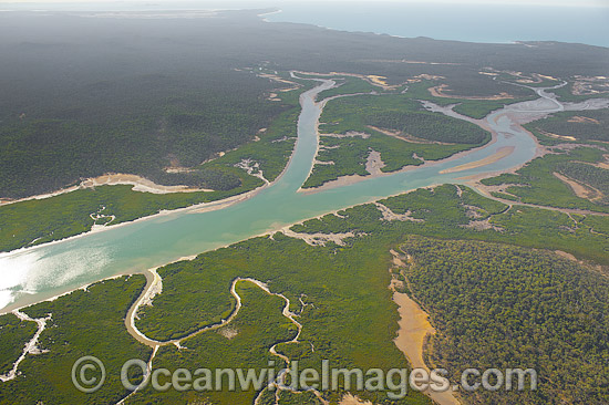 Curtis Island Mangrove wetland photo Curtis Island Mangrove wetland photo