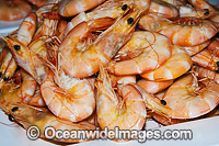 Prawn Seafood Photo - Gary Bell