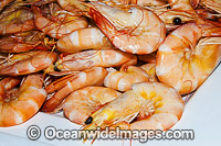 Prawn Seafood Photo - Gary Bell