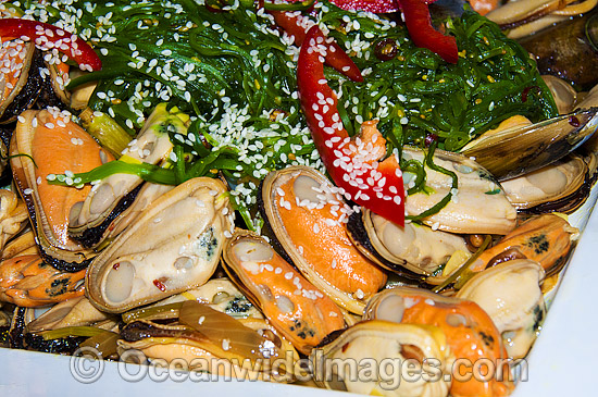 Mussel Seafood photo