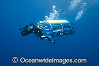 Shark researches looking for Sharks Photo - David Fleetham