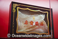 Shark-fin Soup packet Photo - David Fleetham