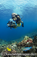Scuba Divers on scooters Photo - David Fleetham