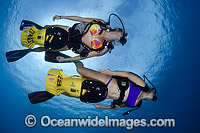 Scuba Divers on scooters Photo - David Fleetham