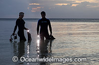 Snorkel Diver entering ocean at night Photo - David Fleetham