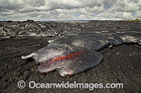 Pahoehoe lava Kilauea Volcano Photo - David Fleetham