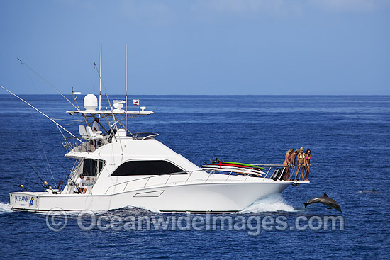Gamefishing Boat with Dolphin at bow photo Gamefishing Boat with Dolphin at bow photo