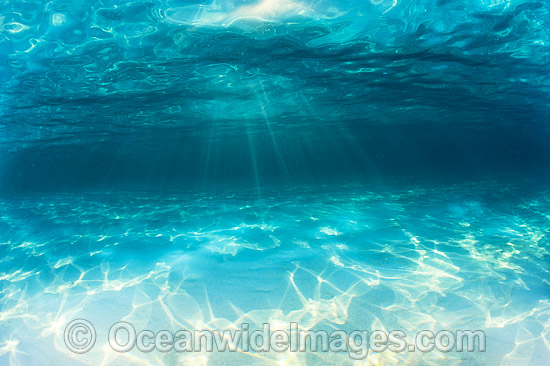 Underwater Seascape sand and sunrays photo Underwater Seascape sand and sunrays photo