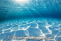 Underwater Seascape sand and sunrays Photo - Gary Bell
