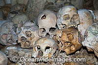 Skulls in Cave Photo - Gary Bell