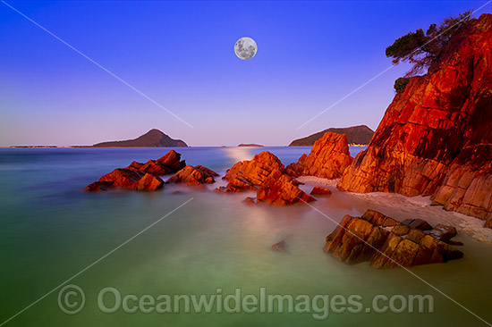 Shoal Bay Port Stephens photo