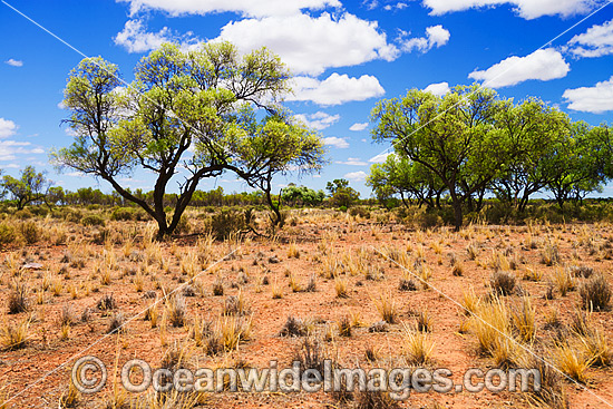 Outback Australia photo Outback Australia photo