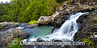 Sherwood Nature Stream Photo - Gary Bell