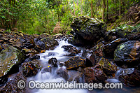 Sherwood Nature Reserve Waterfall Photo - Gary Bell
