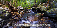 Sherwood Nature Stream Photo - Gary Bell