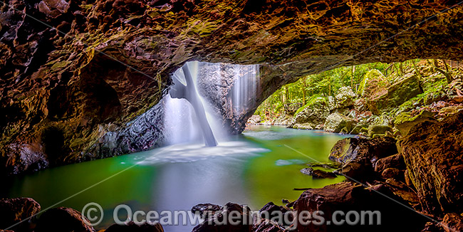 Natural Bridge Springbrook photo Natural Bridge Springbrook photo