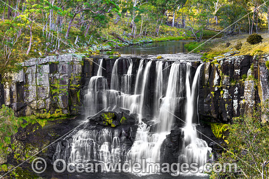 Ebor Falls Nymboida photo Ebor Falls Nymboida photo