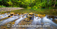 Dingo Creek Coffs Harbour Photo - Gary Bell