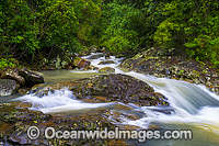 Springbrook National Park Photo - Gary Bell