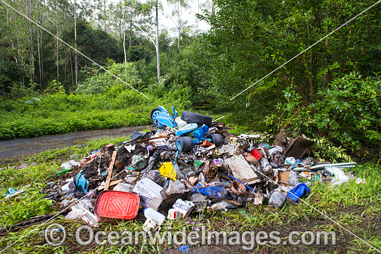 Rubbish dumped in forest photo Rubbish dumped in forest photo