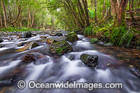 Stream Bindarri National Park Photo - Gary Bell