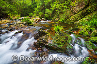 Stream Bindarri National Park Photo - Gary Bell