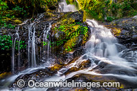 Bangalore Falls Coffs Harbour Photo - Gary Bell