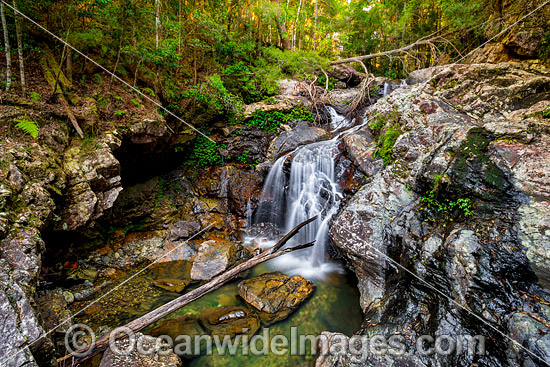 Urumbilum Falls Coffs Harbour photo