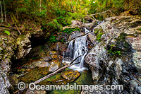 Urumbilum Falls Coffs Harbour Photo - Gary Bell