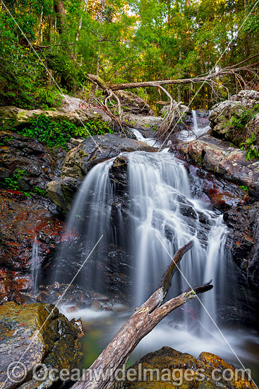 Urumbilum Falls Coffs Harbour photo Urumbilum Falls Coffs Harbour photo
