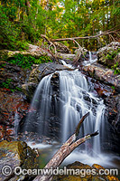 Urumbilum Falls Coffs Harbour Photo - Gary Bell