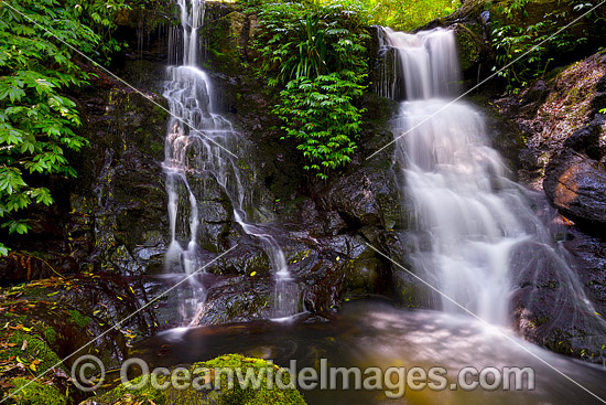 Twin Falls Lamington National Park photo