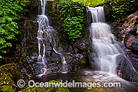 Twin Falls Lamington National Park Photo - Gary Bell