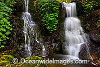 Twin Falls Lamington National Park Photo - Gary Bell