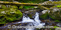 Lamington National Park Waterfall Photo - Gary Bell