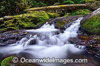 Lamington National Park Waterfall Photo - Gary Bell