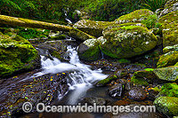 Lamington National Park Waterfall Photo - Gary Bell
